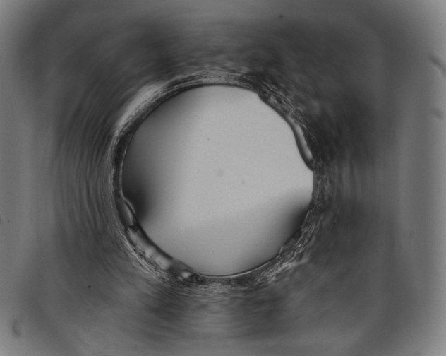 X0000097810197200804041344