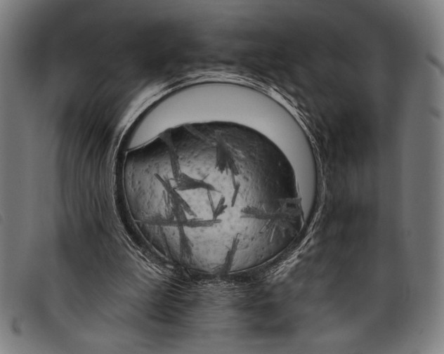 X0000097810199200804041344