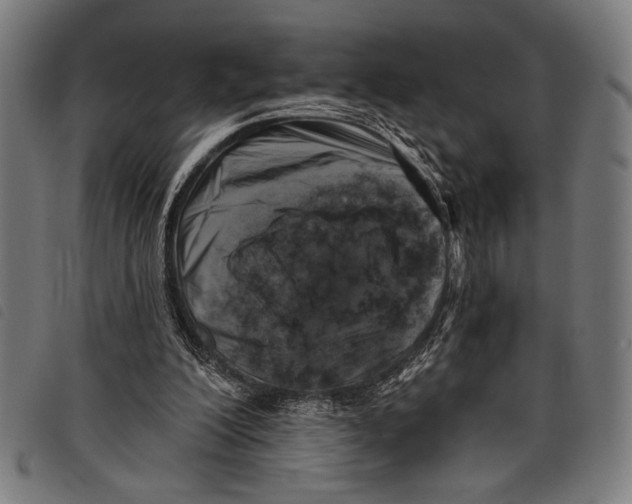 X0000097810200200804041343