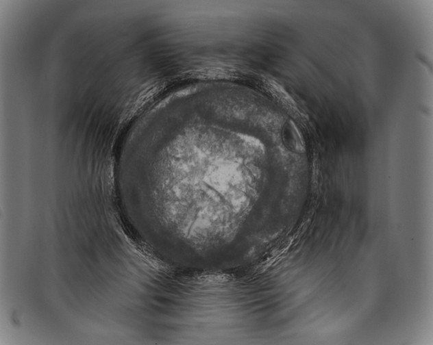 X0000097810202200804041343