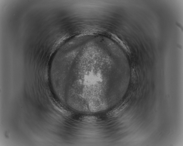 X0000097810203200804041343