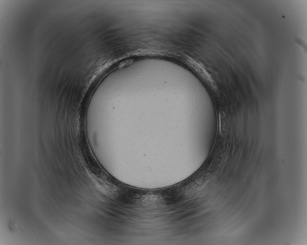 X0000097810204200804041343