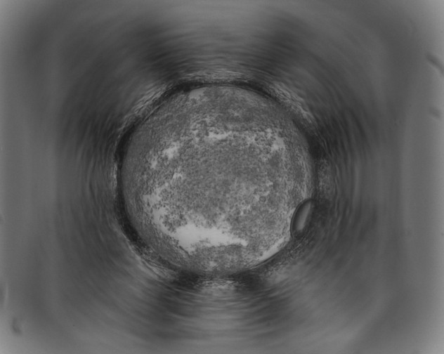 X0000097810206200804041343