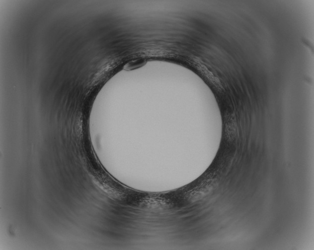 X0000097810207200804041343