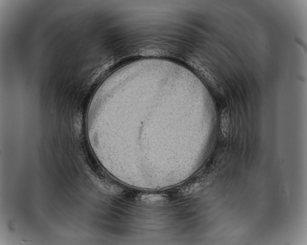 X0000097810208200804041343