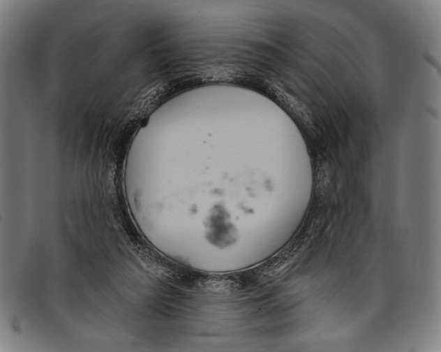 X0000097810209200804041343