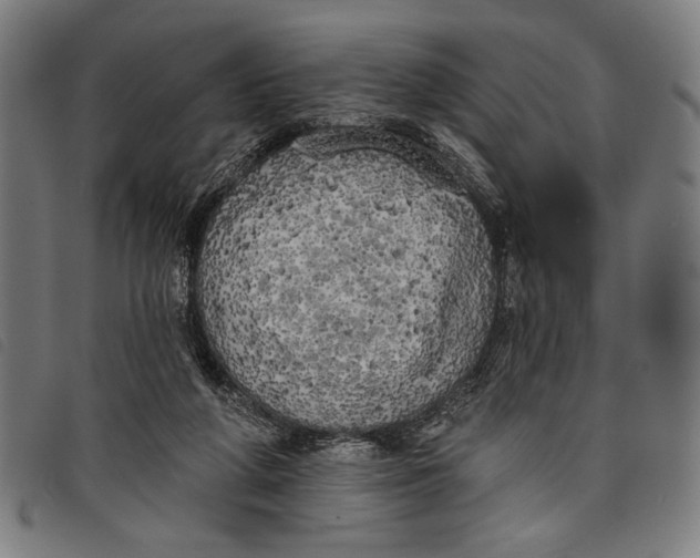 X0000097810210200804041343