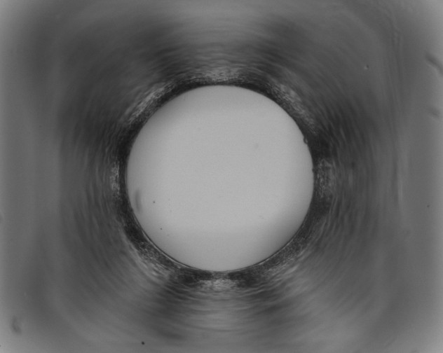 X0000097810212200804041343