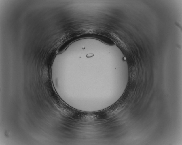 X0000097810213200804041343