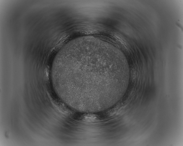 X0000097810214200804041343