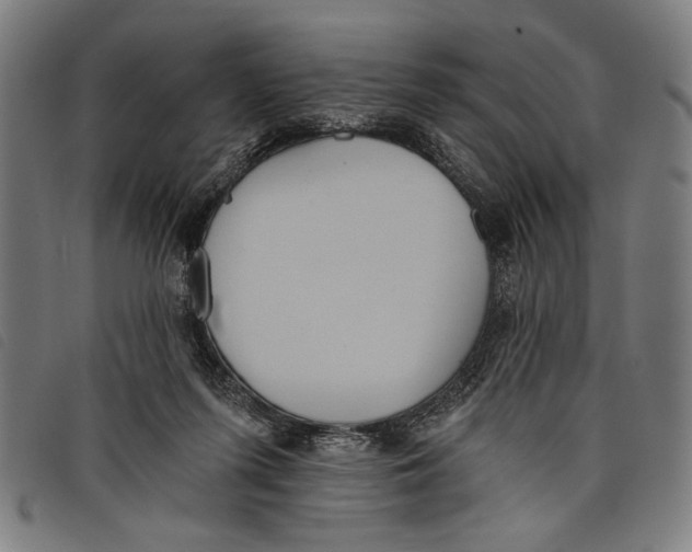 X0000097810215200804041343