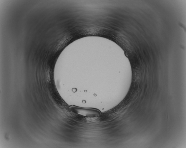 X0000097810216200804041343