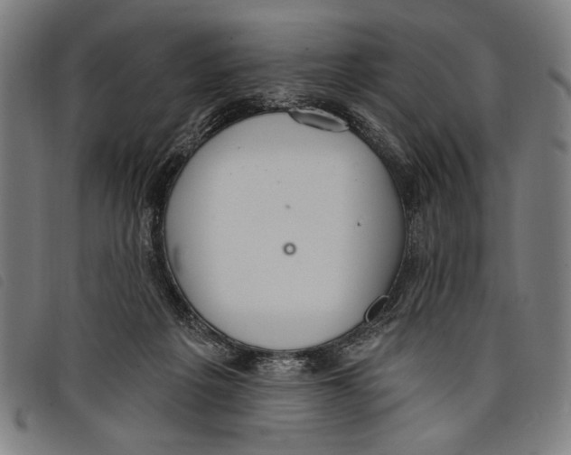 X0000097810217200804041343