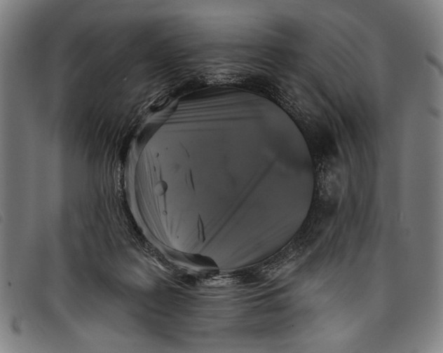 X0000097810219200804041343