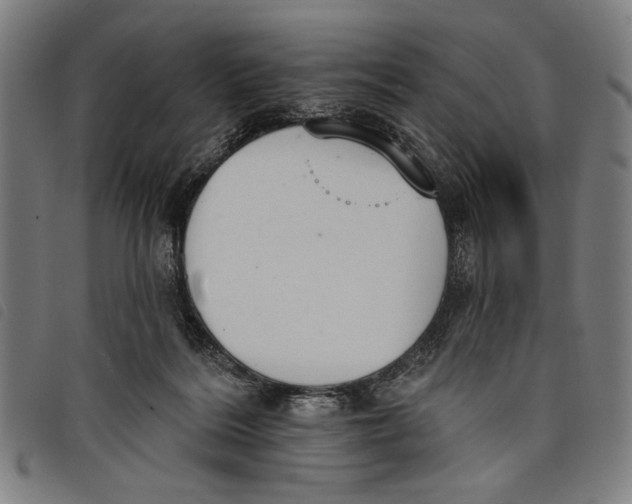 X0000097810220200804041343