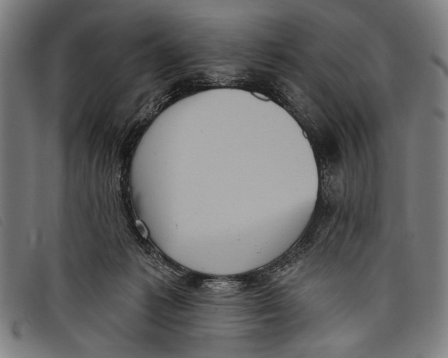 X0000097810221200804041343