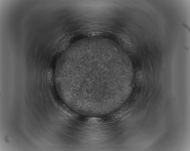 X0000097810222200804041343