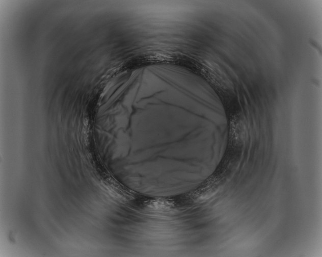 X0000097810223200804041343