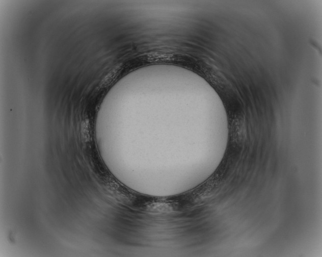 X0000097810224200804041343