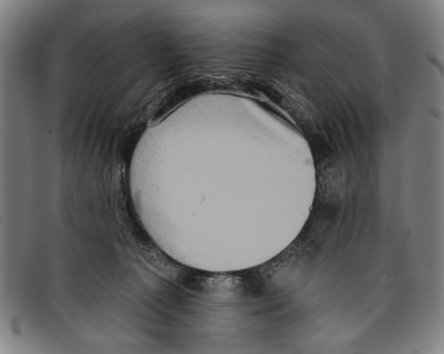 X0000097810225200804041343