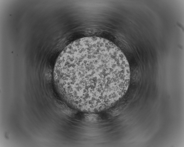 X0000097810226200804041343