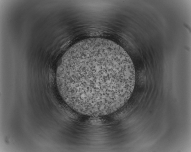 X0000097810228200804041343