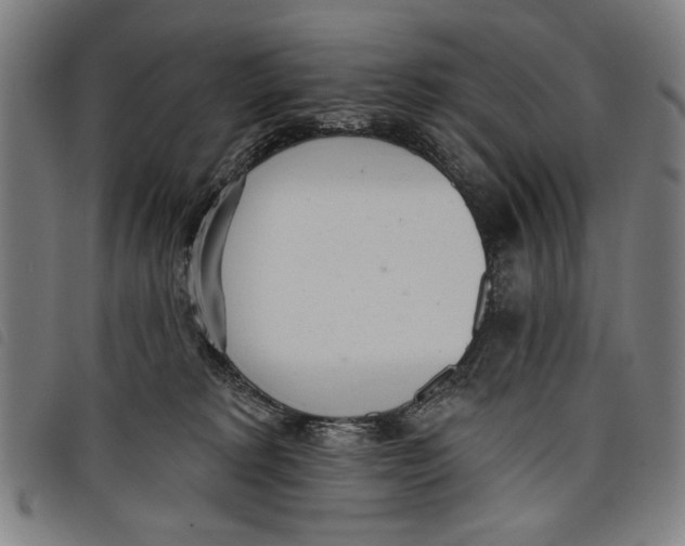 X0000097810229200804041343