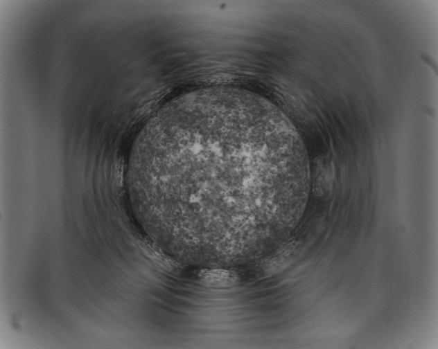 X0000097810230200804041343