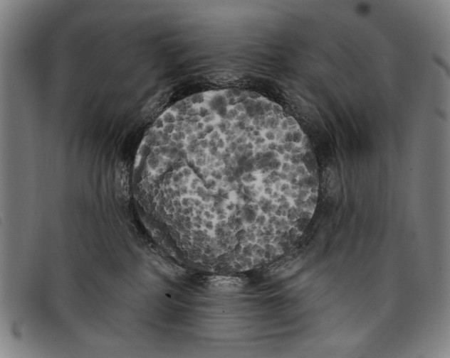 X0000097810234200804041343