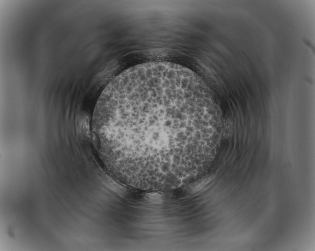 X0000097810238200804041343