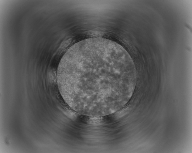 X0000097810240200804041343