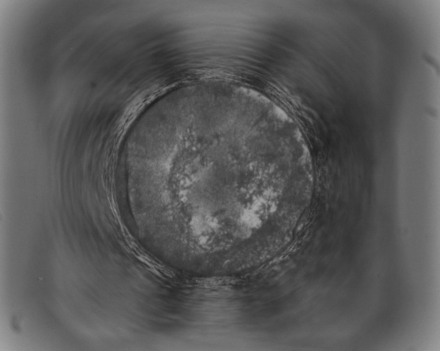 X0000097810241200804041342