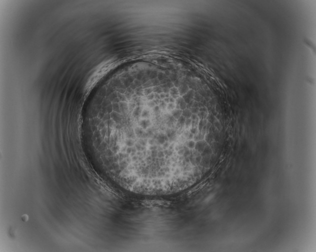 X0000097810242200804041342