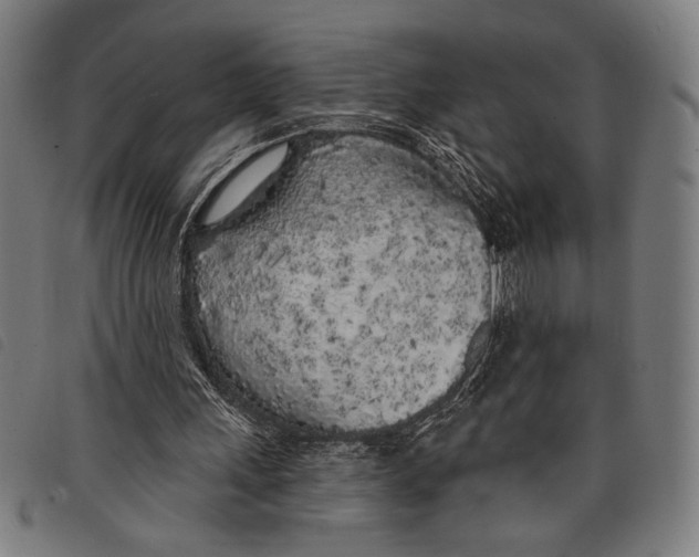 X0000097810243200804041342