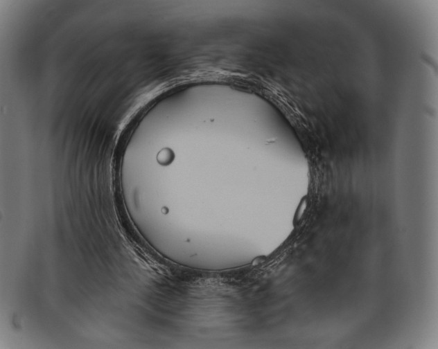 X0000097810244200804041342