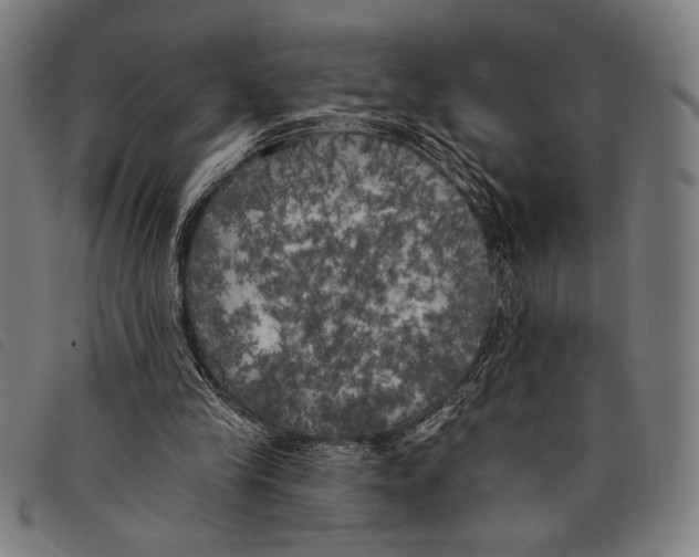 X0000097810245200804041342