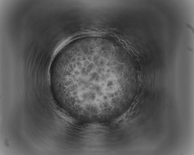 X0000097810246200804041342