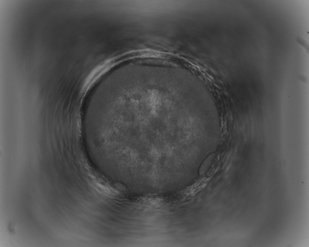 X0000097810247200804041342