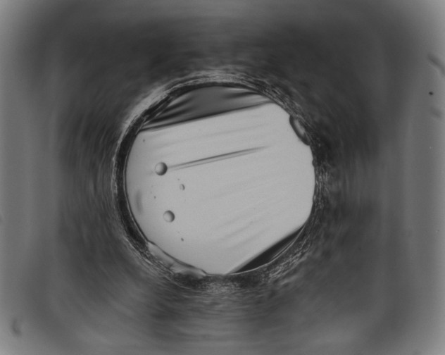 X0000097810248200804041342