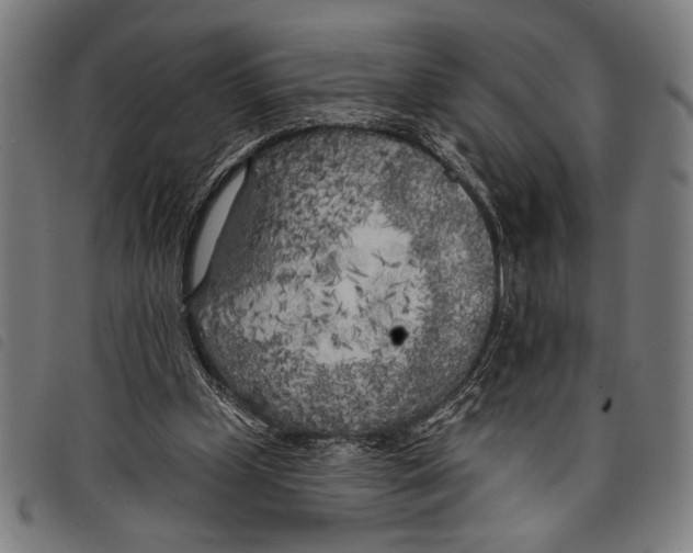 X0000097810249200804041342