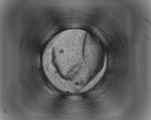 X0000097810251200804041342