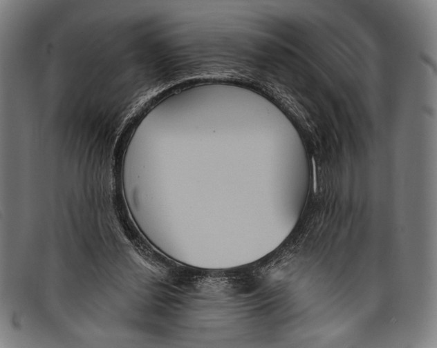 X0000097810252200804041342