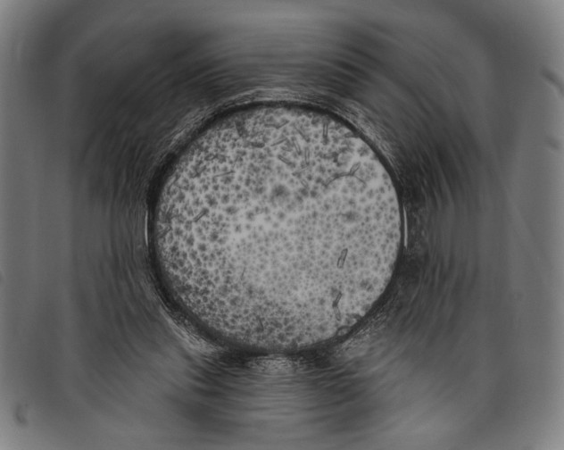 X0000097810253200804041342