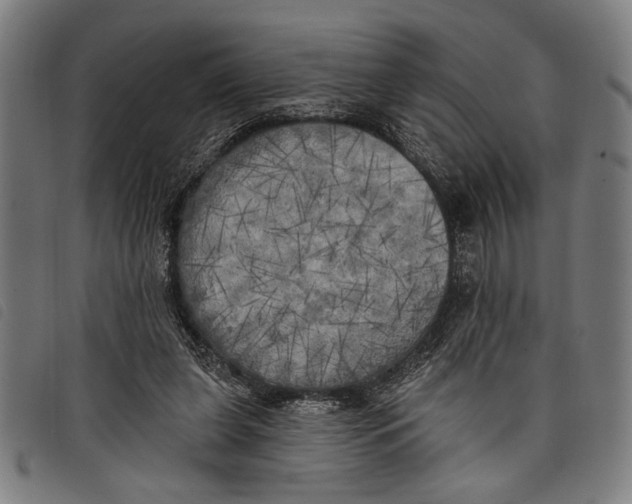 X0000097810255200804041342