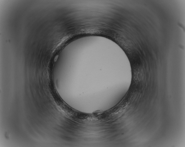 X0000097810256200804041342