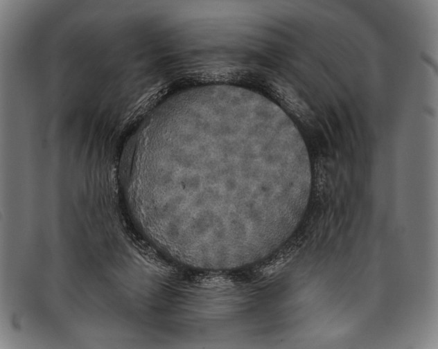 X0000097810258200804041343