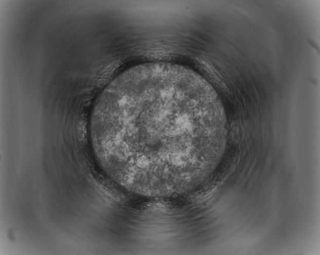 X0000097810259200804041343