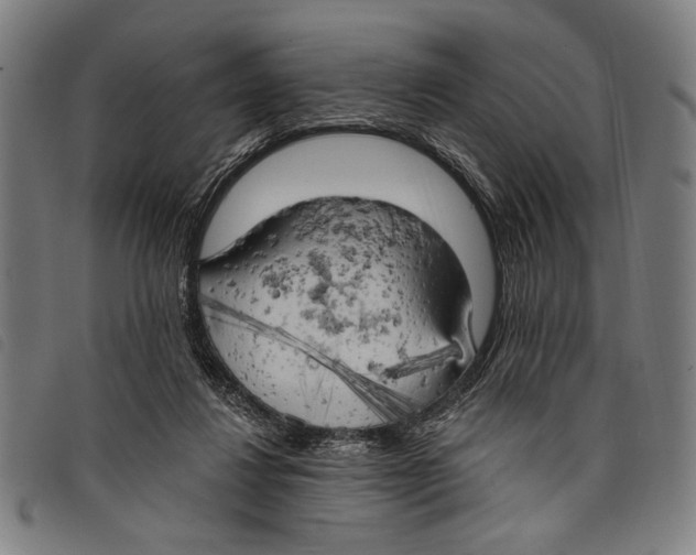 X0000097810260200804041343