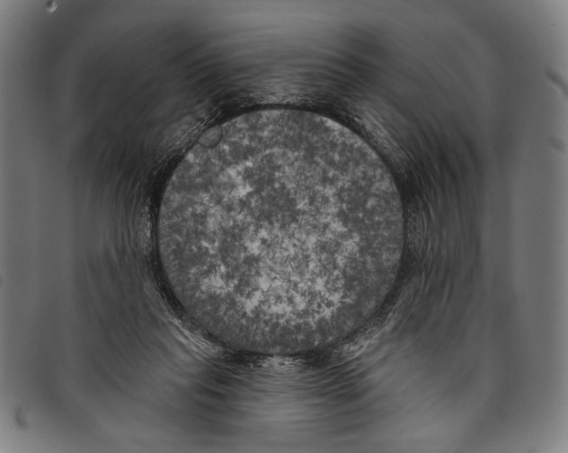 X0000097810261200804041343