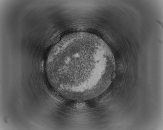 X0000097810262200804041343